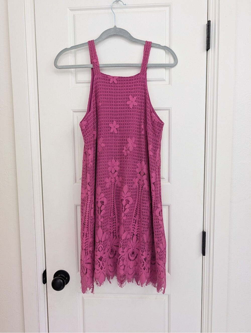 Francesca's fuchsia lace fully lined dress